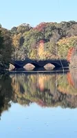 IMG_6029.jpeg